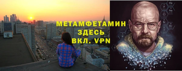 прущие грибы Балахна