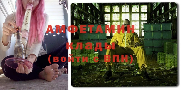 прущие грибы Балахна