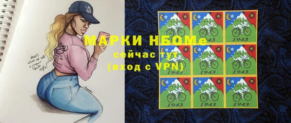 индика Сатка