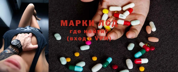 прущие грибы Балахна
